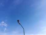 Ballonvaart Oss - Plezierige luchtballon vaart omgeving OSS