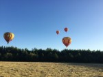 Ballonvlucht Beesd - Bijzondere ballon vlucht boven Beesd